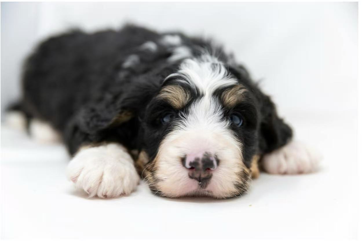 lm_image___2zfov cover___2hGtr lm_image___2zfov cover___2hGtr