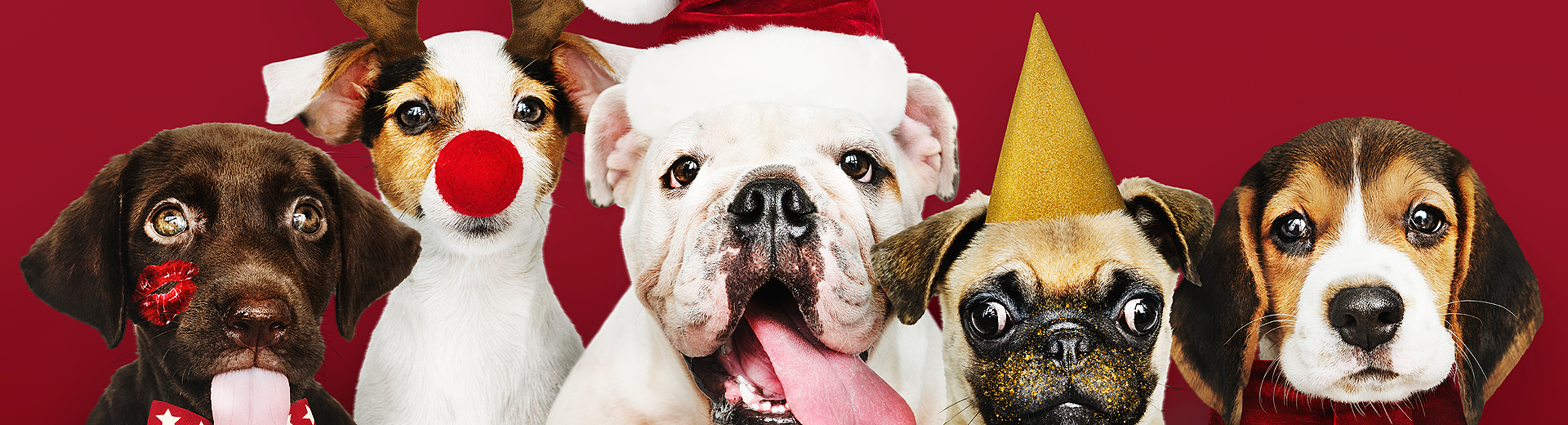 lm_image___2zfov swiper-item-img___1bCLM cover___2hGtr