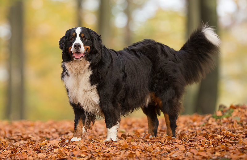 lm_image___2zfov  cover___2hGtr