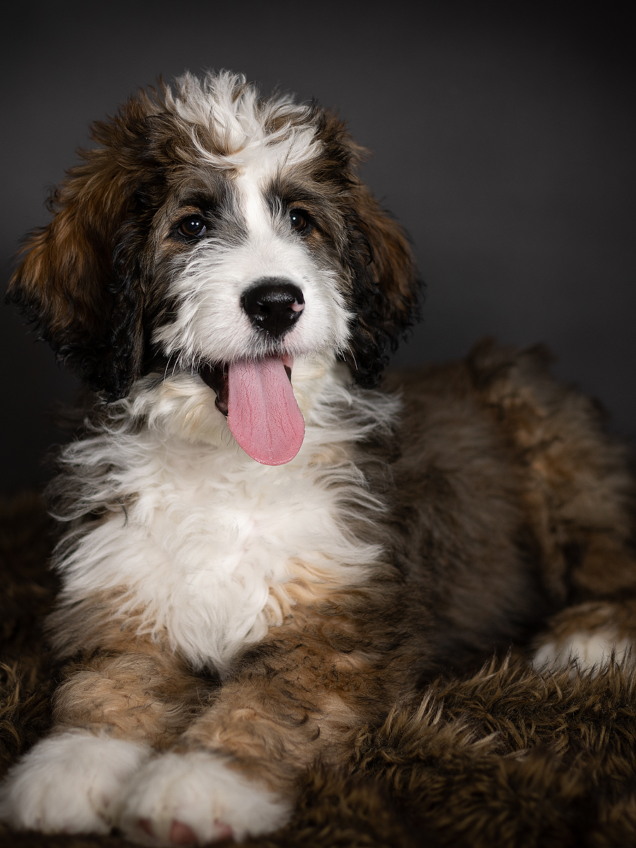 lm_image___2zfov cover___2hGtr lm_image___2zfov cover___2hGtr