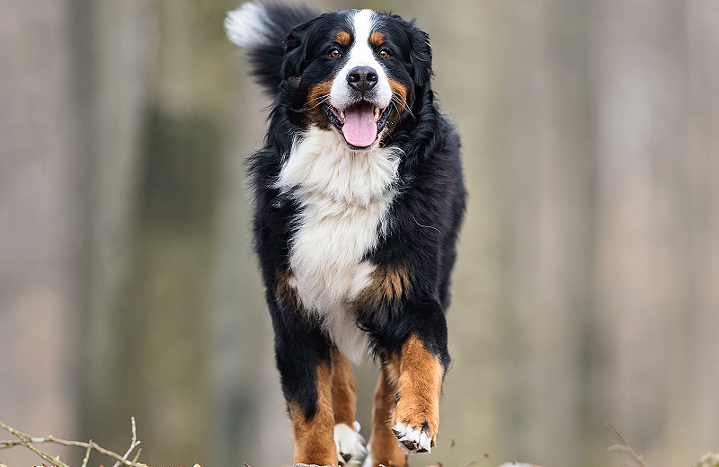 lm_image___2zfov  cover___2hGtr