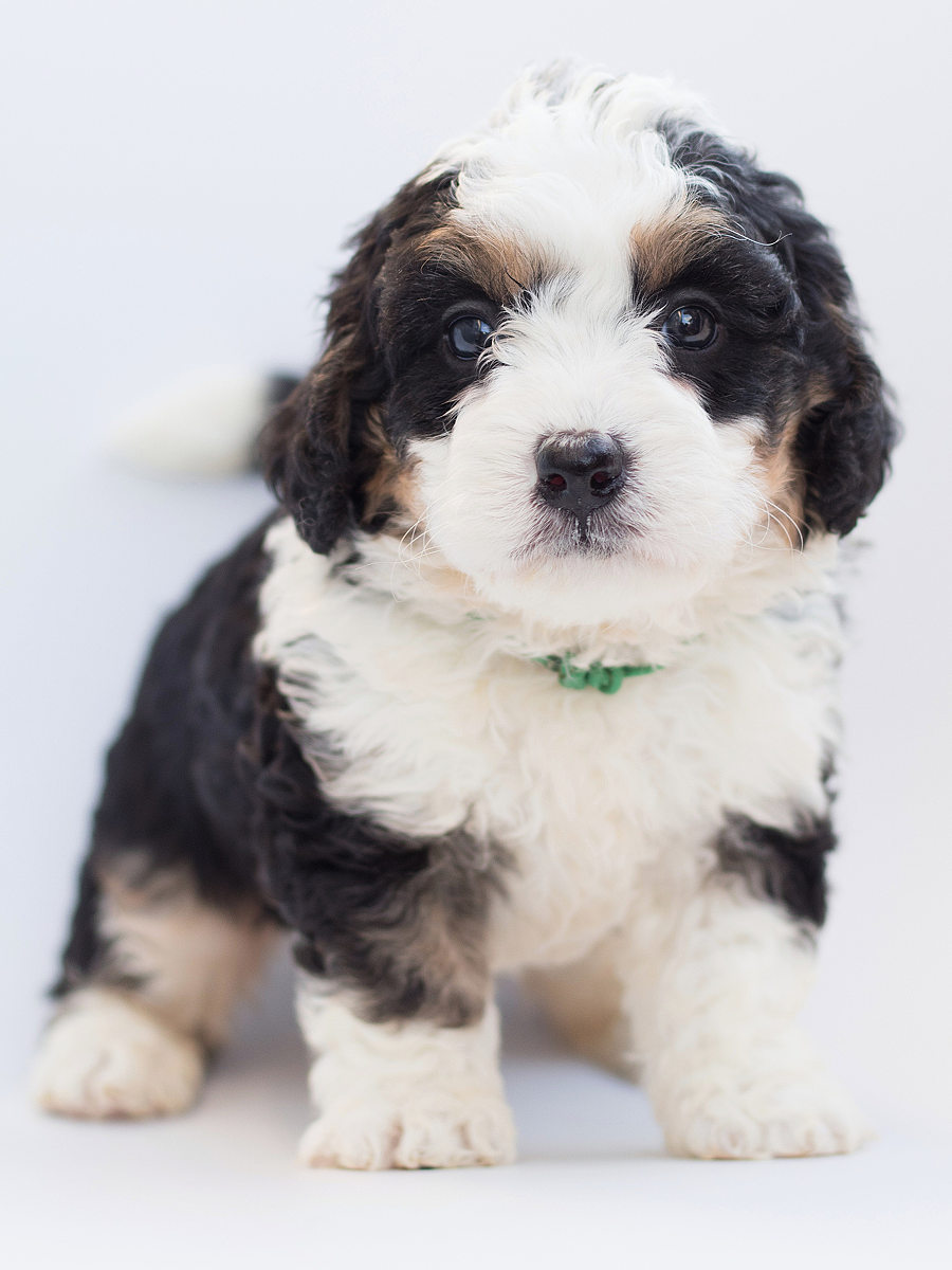 lm_image___2zfov cover___2hGtr lm_image___2zfov cover___2hGtr