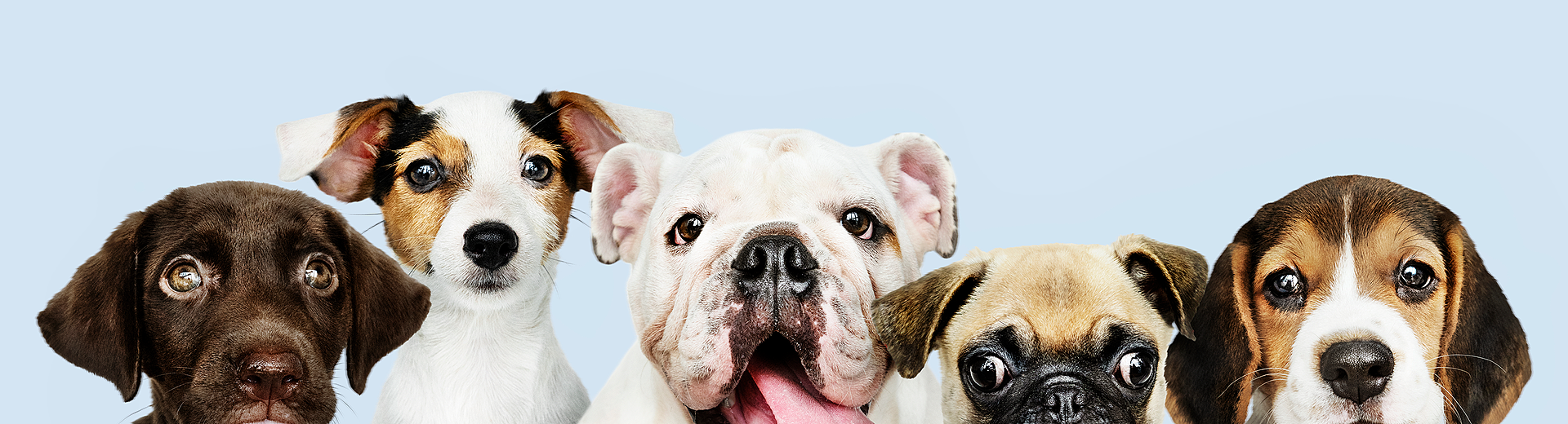 lm_image___2zfov swiper-item-img___1bCLM cover___2hGtr