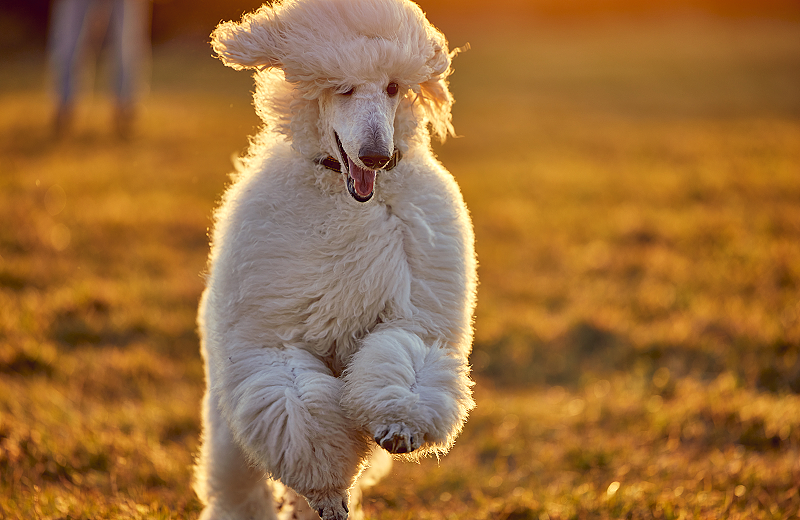 lm_image___2zfov  cover___2hGtr