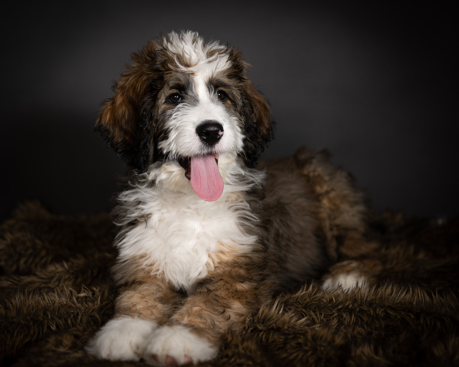 lm_image___2zfov cover___2hGtr lm_image___2zfov cover___2hGtr