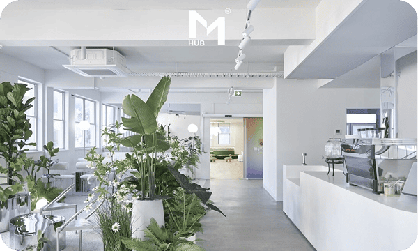 HUB M