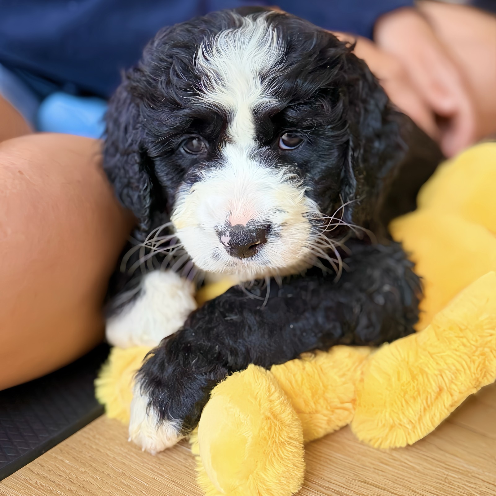 lm_image___2zfov  cover___2hGtr