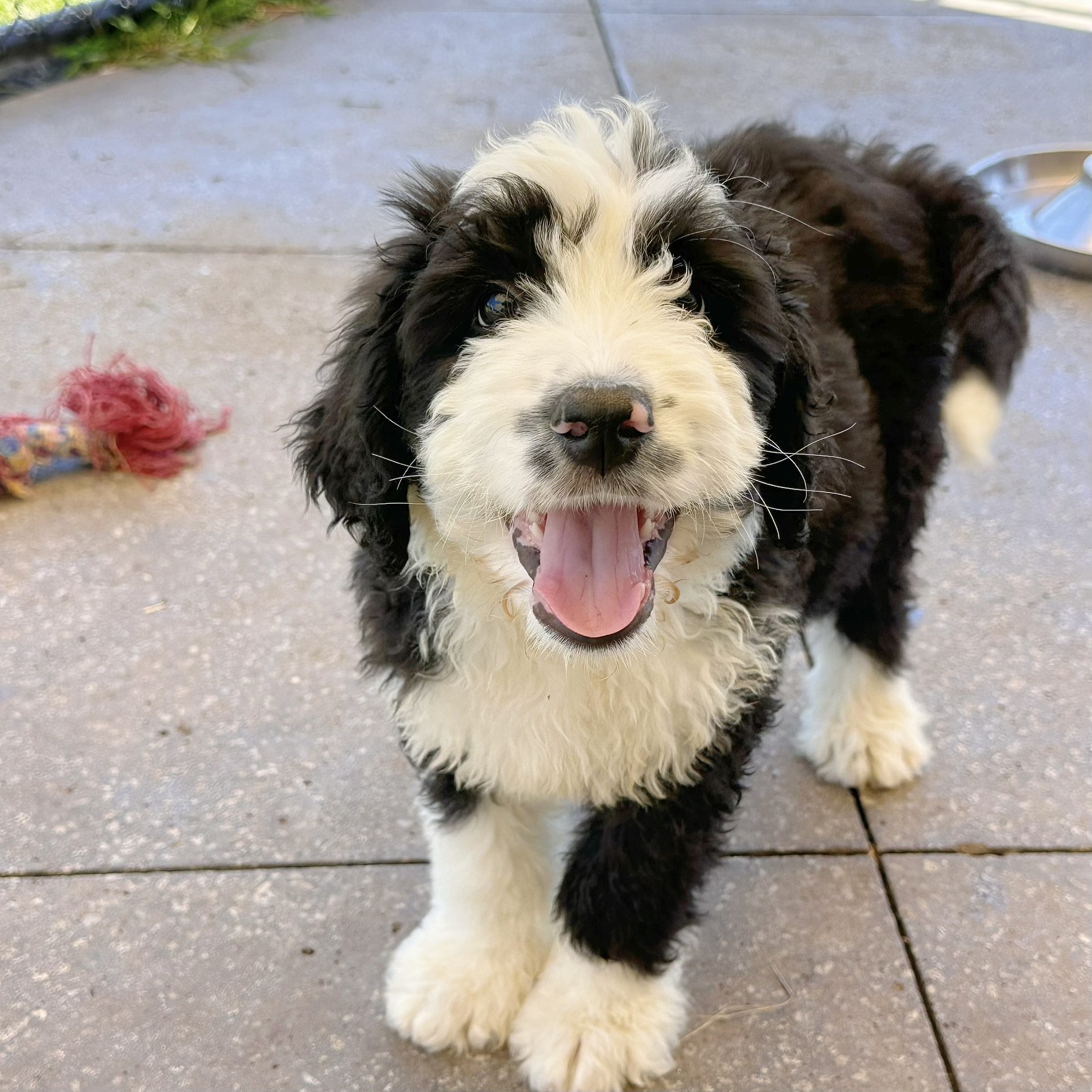 lm_image___2zfov  cover___2hGtr