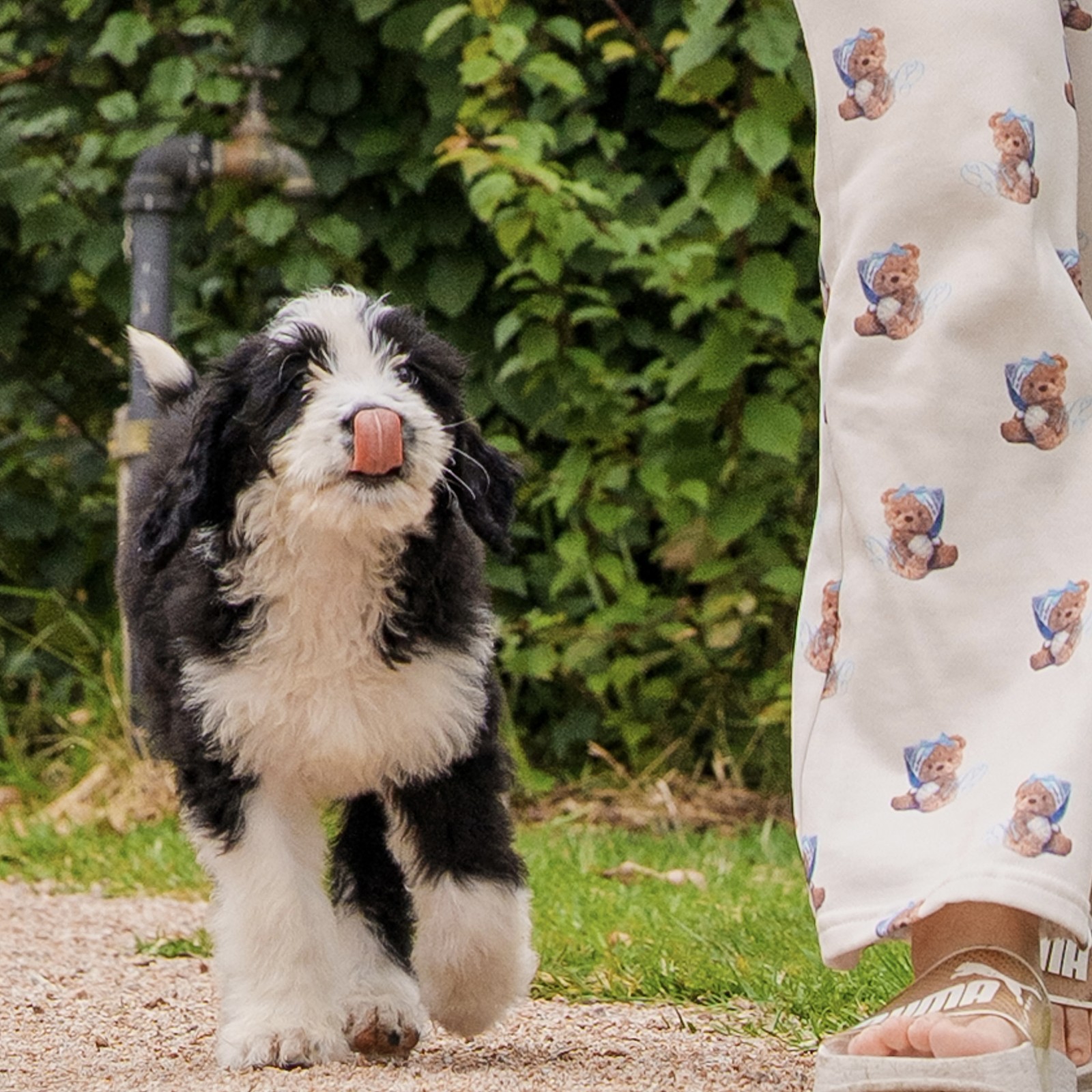 lm_image___2zfov  cover___2hGtr