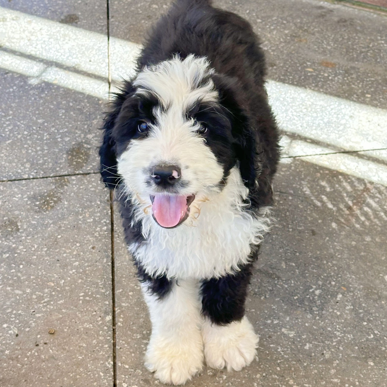 lm_image___2zfov  cover___2hGtr