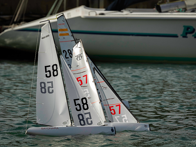 DF65 National Championships at Austin Lakes in WA